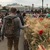 Фото пользователя Александр