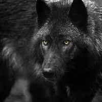 Марат Гиззатуллин