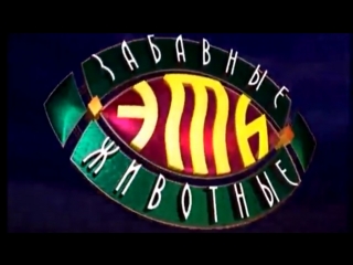 Эти забавные животные (ОРТ, ??.??.1998 г.). Дмитрий Хаустов, Наталья Голубенцева и Сергей Григорьев