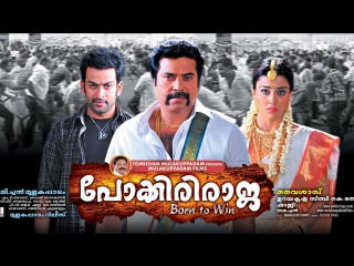 Неустрашимый Раджа. Рожденный побеждать / Pokkiri Raja (2010)