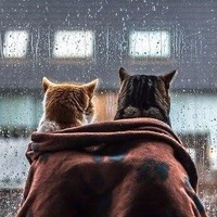 Катрин Румянцева