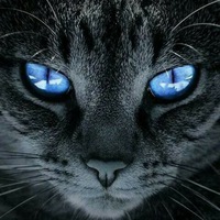 Александра Алёшина | Курган