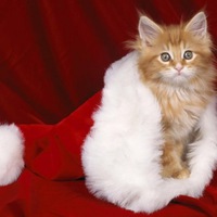 Алла Караваева | Пермь