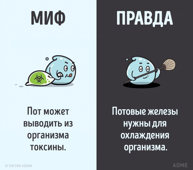 https://pp.userapi.com/c841521/v841521525/680f/7kOH4gtUebk.jpg