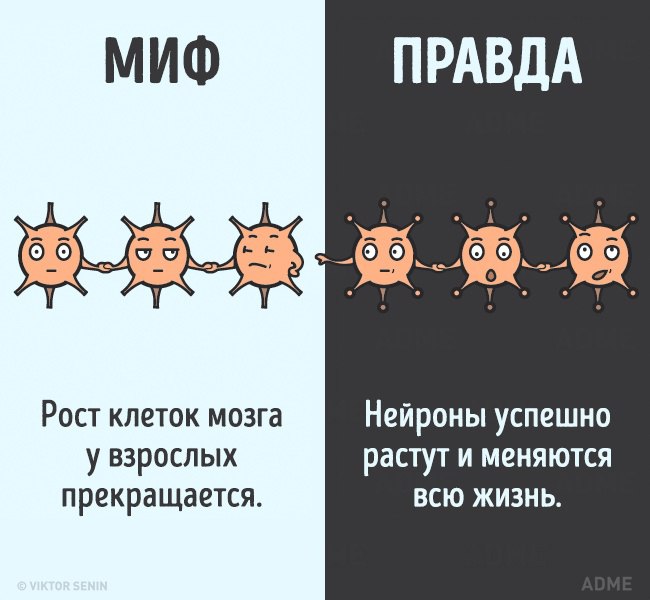 https://pp.userapi.com/c841521/v841521525/681f/iQ3IMdUsYCI.jpg