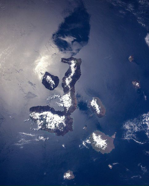 Российский космонавт сфотографировал огромного «морского конька» с борта МКС. 