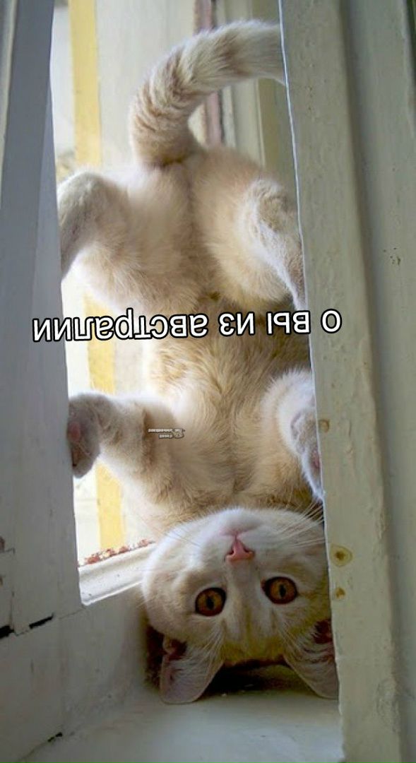 nLP5EQLg4wY.jpg