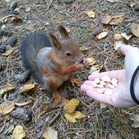 Анастасия Бобыкина