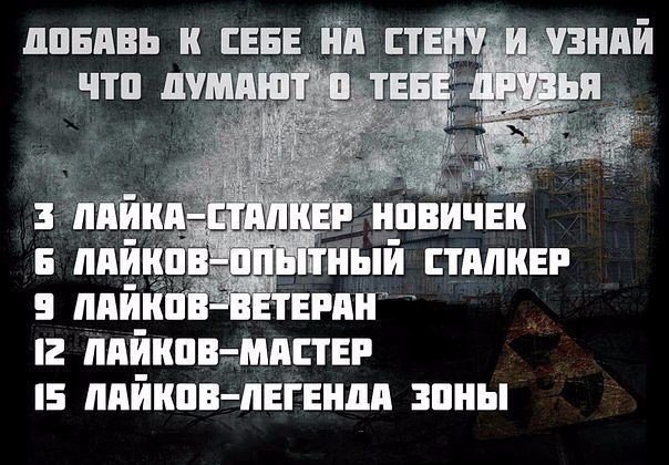 gM5BzZYV-KQ.jpg