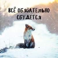 Елена Харитоненко