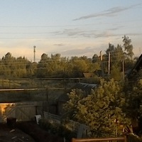 Вася Бутолин