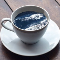 Виктория Петрова