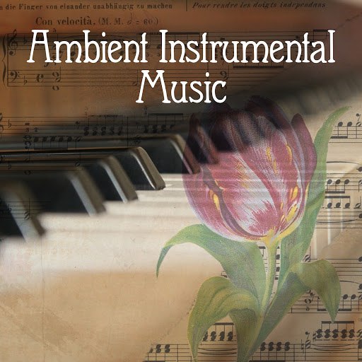 Instrumental альбом Ambient Instrumental Music