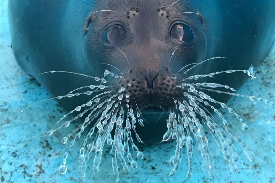 Кафе  "У пани Сони"