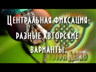 Центральная фиксация (разные авторские варианты)
