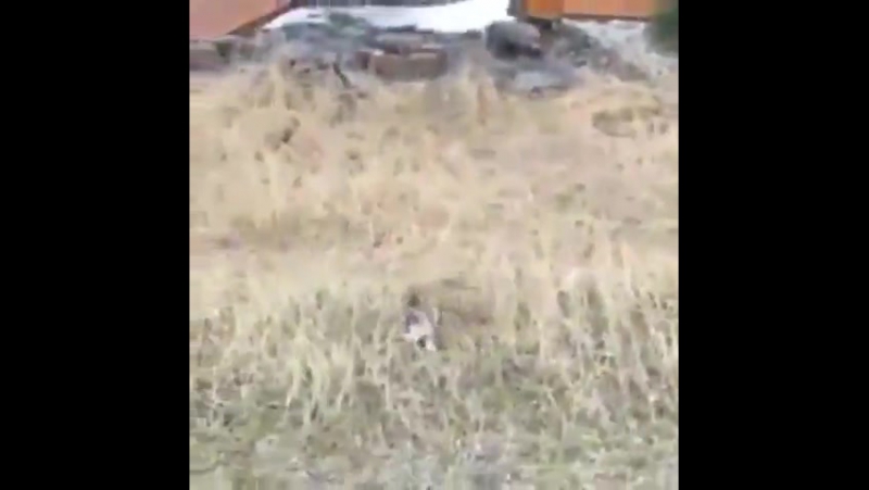 Поймал вспышку справа
