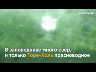 Весь мир в одном уголке России! Убсунурская котловина и Респулика Тува удивляют заповедной красотой и необычными жителями/