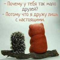 Андрей Сурков | Тюмень