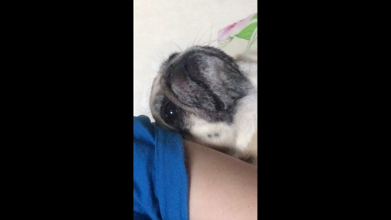 зяв