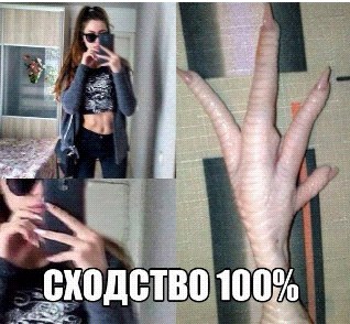 vQeL2S35wtY.jpg