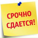 Объявление от Олеся - фото №1