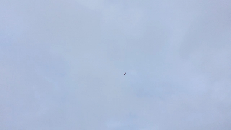 Зима, -12гр.