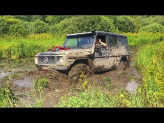 Топкое болото. Toyota Land Cruiser 80 41
