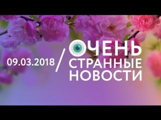 09.03 | ОСН #40. 8 марта