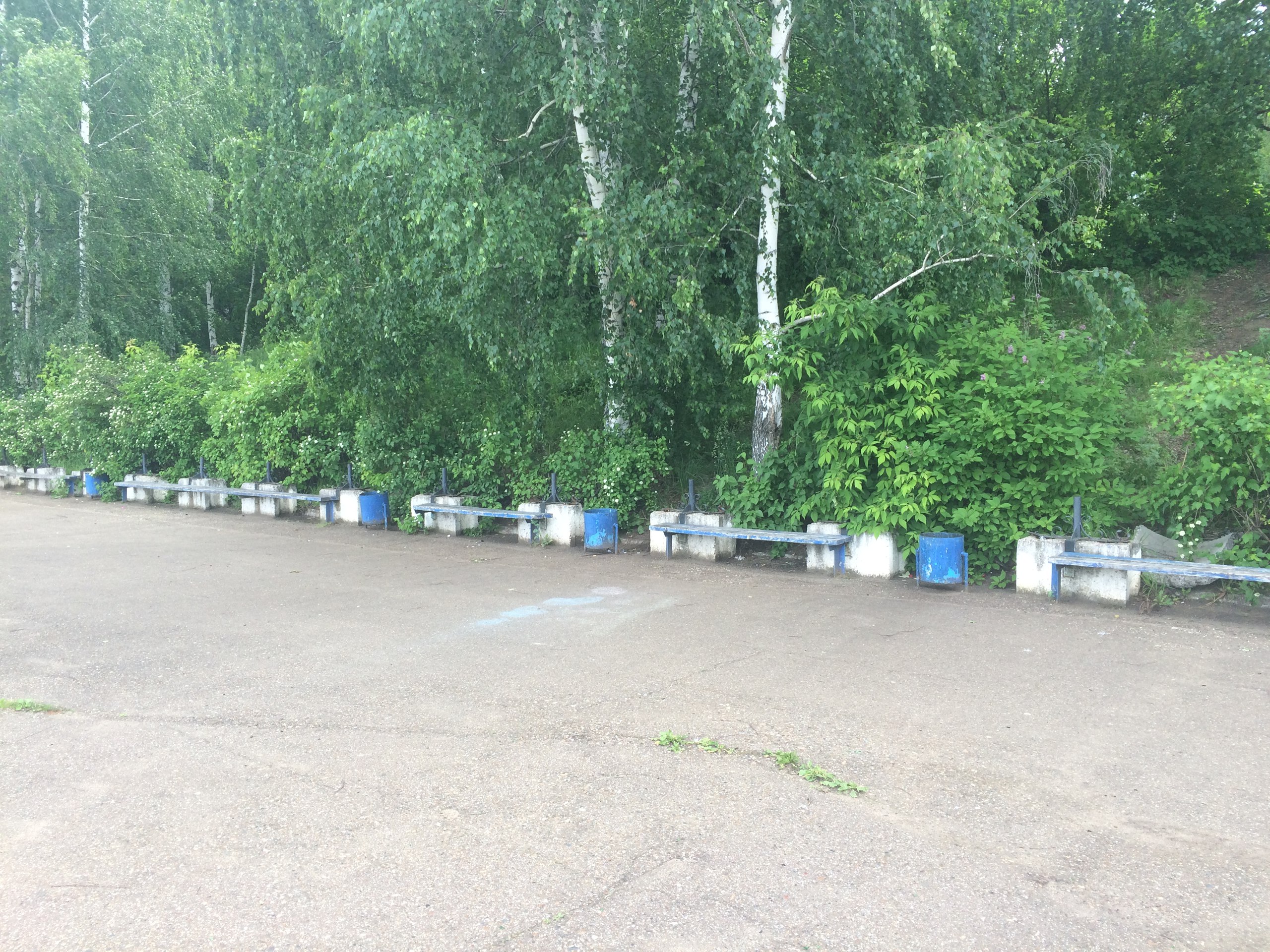 уборка, Чайковский, 2016 год