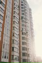 Объявление от Дария - фото №1