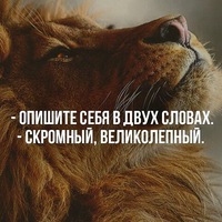 Андрей Сиренко