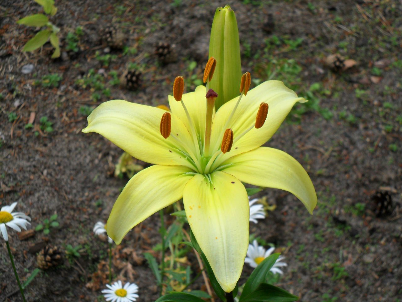 фотография из вКонтакта