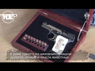 Чучело тигра, золоченое оружие, варенье: очередной обыск у дагестанского чиновника сняли на видео