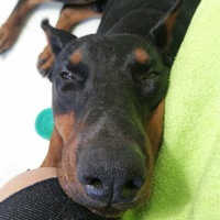 Станислав Адвайта