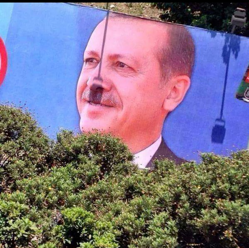 https://pp.userapi.com/c841535/v841535945/c460/3QAT0wDZLnI.jpg