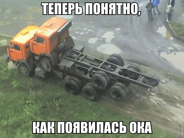 Когда появилась ока