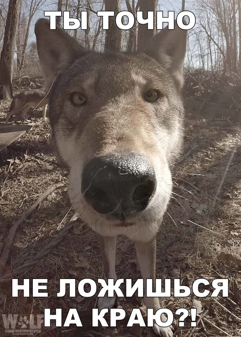 i18gnRZysz4.jpg