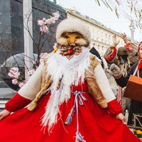 Мира Джавер