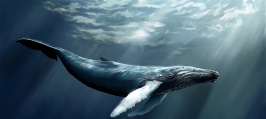 Учебник Немецкого Языка Delfin