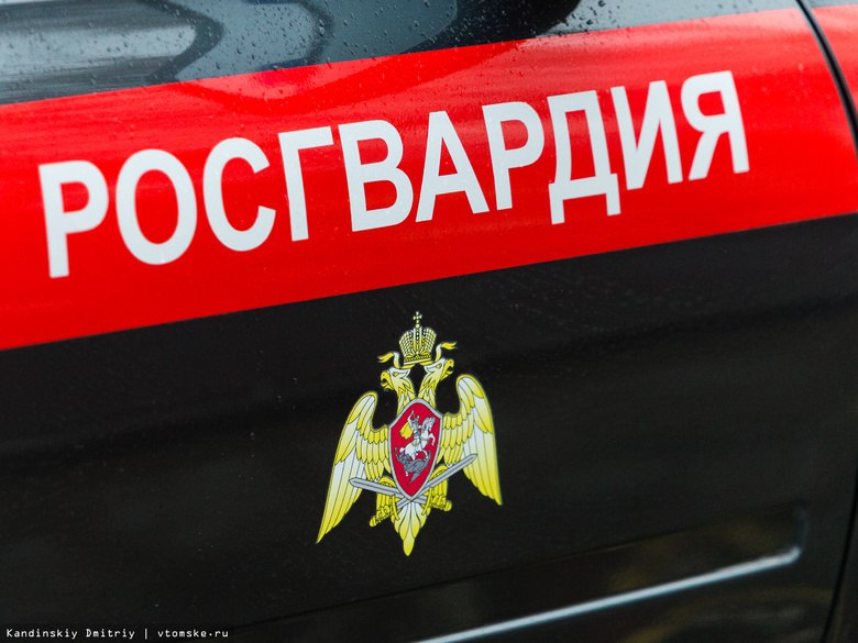 Экс-сотрудник Росгвардии пойдет под суд за наезд на ребенка в Северске на служебном авто Экс-сотрудник Росгвардии пойдет под суд за наезд на ребенка в Северске на служебном авто