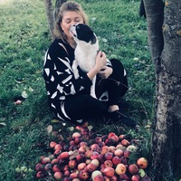 Дарья Куркина