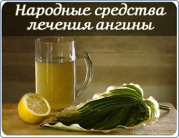 Народные средства лечения ангины.