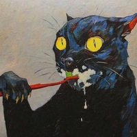 Полина Середина