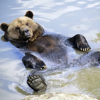 Михаил Петров