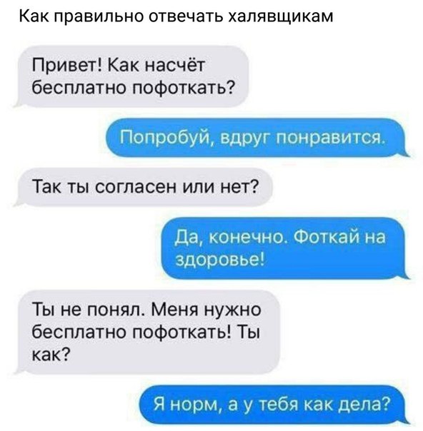 смешные картинки