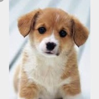 Катя Зубкова | 