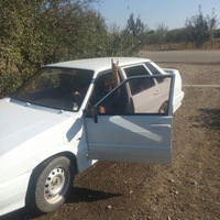 Дмитрий Грибов | Краснодар