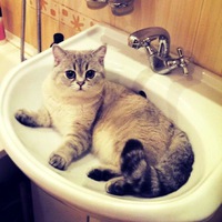 Руслан Бильгусович  Казань, Нижнекамск, Чебоксары, Набережные Челны, Йошкар Ола, Самара, Ульяновск, Альметьевск,