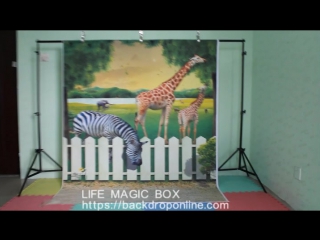 Life Magic Box Vinyl Animal Backdrop Photos Wallpaper Photo Background Backgrounds Photography