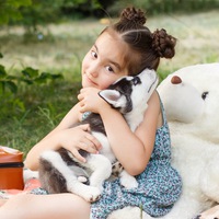 huskyakitaclub